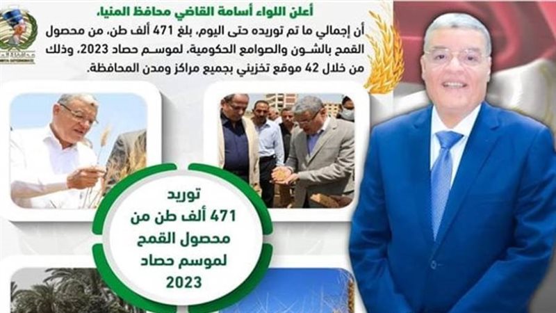 توريد القمح بالمنيا