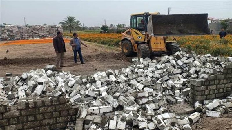 إزالة 65 حالة تعد