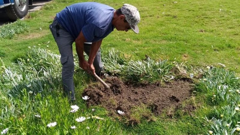 محافظ الإسكندرية