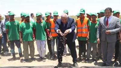 محافظ الوادي الجديد يشهد حصاد 