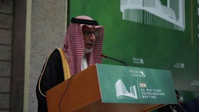 قطان: المملكة تنظر بعين الاعتبار إلى أهمية المجلس التنفيذي في تحقيق الشراكة السعودية الإفريقية المثمرة