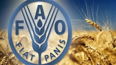 الفاو تبدأ توزيع بذور لنحو مليون مزارع في السودان