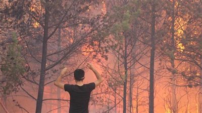 تركيا.. فرق الإطفاء تحاول إخماد حريق هائل جنوبي البلاد