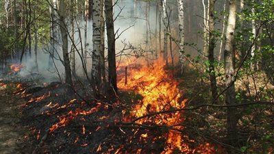  إجلاء 4 آلاف شخص بسبب حرائق الغابات في إسبانيا