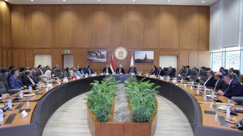 د. أيمن عاشور يترأس