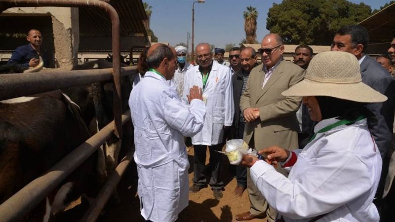 محافظ أسيوط يعلن