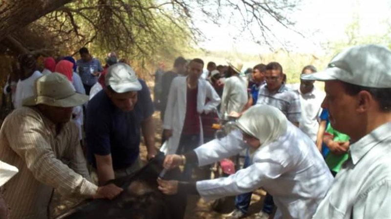 غدا الحملة القومية