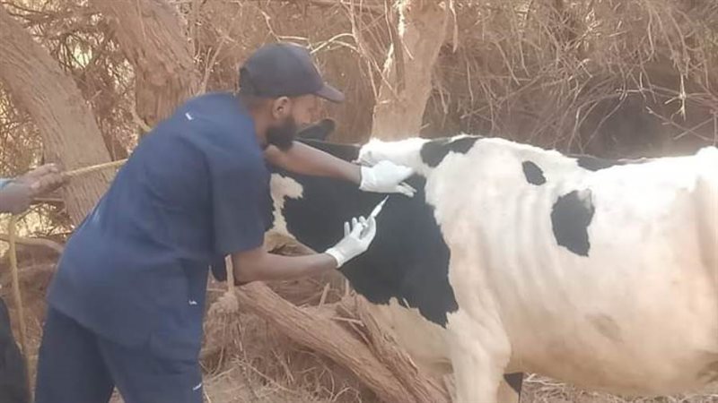 انطلاق حملة التحصين