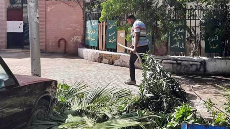 بوابة روز اليوسف