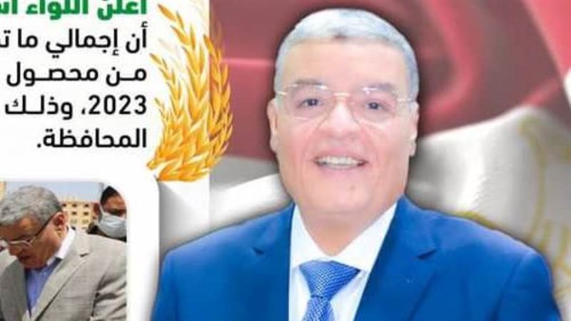 محافظ المنيا