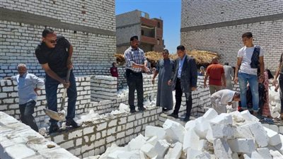 استرداد ٩٤ فدان أملاك دولة وإزالة ١١٨ حالة تعدٍ ضمن المرحلة الثالثة من الموجة ٢١ بالمنيا