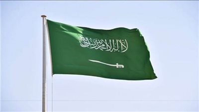 السعودية تدعم الإنتربول بمليون يورو للتحول الرقمي لمكافحة الجريمة دوليًا