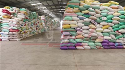 توريد 262 ألفًا و94 طنًا من محصول القمح بجميع مراكز كفر الشيخ