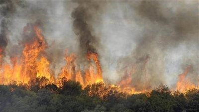 اليونان: اندلاع حرانق غابات في منطقتين منفصلتين بالتزامن مع الموجة الحارة في أوروبا