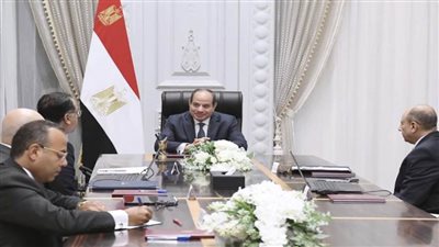 الرئيس السيسي يوجه بمواصلة الجهود المكثفة للنهوض بقطاع الطيران المدني