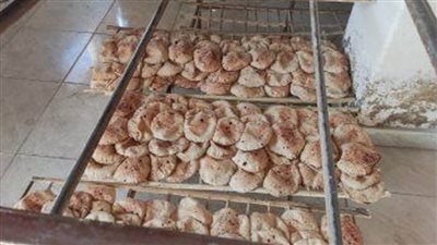 محافظة الجيزة: تحرير 2741 محضرا تموينيا لمخابز وبدالين تموينيين ومنشآت مخالفة