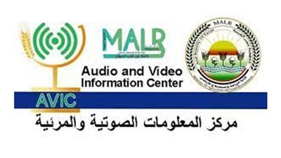 بالإنفوجراف والفيديو.. 