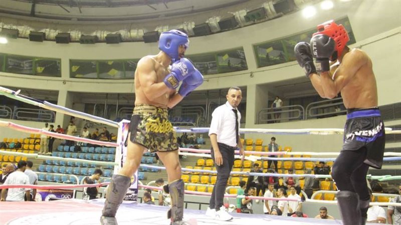 بوابة روز اليوسف