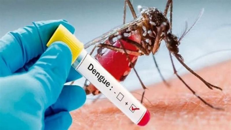 خطر الإصابة بحمى