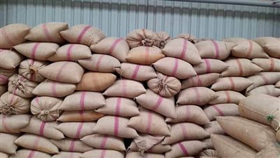 توريد أكثر من 129 ألف طن قمح لشون وصوامع سوهاج