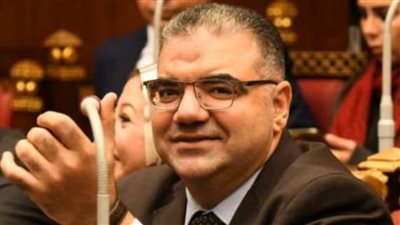 برلماني بالقليوبية عن ذكرى ثورة ٢٣ يوليو: 