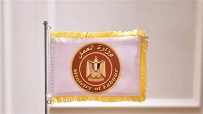 وزارة العمل: صندوق 