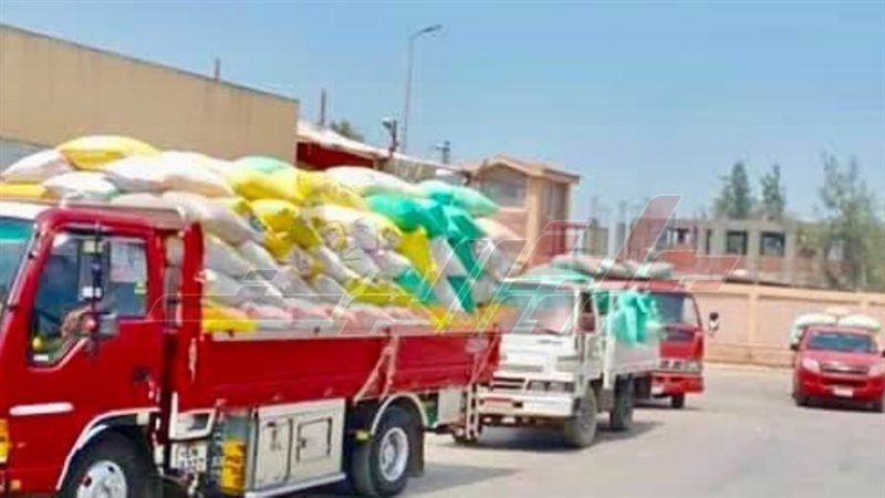 توريد واستلام القمح