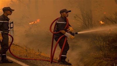 الجزائر: إخماد غالبية الحرائق التي طالت عدة مدن بنسبة 80%