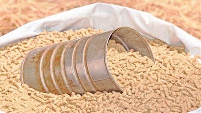  الزراعة: الإفراج عن 181 ألف طن مستلزمات أعلاف بـ 92 مليون دولار 