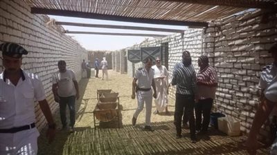 إزالة 700 متر تعديات على أملاك الدولة بالوادي الجديد 