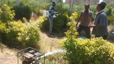 ضمن مبادرة 100 مليون شجرة.. زراعة أشجار مثمرة وأخرى للزينة بمركزين بالمنيا 