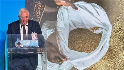 وزير الزراعة: تحقيق الأمن الغذائي والمائي يُشكل تحدياً شديد الخصوصية للدولة المصرية