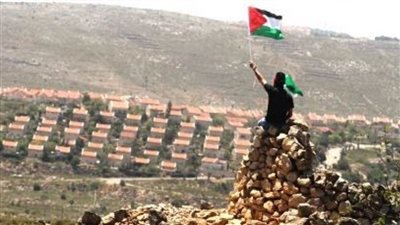 أكثر من 20 خبيرا ومقررا خاصا بالأمم المتحدة يطالبون بمنع إسرائيل من ضم الأراضي الفلسطينية