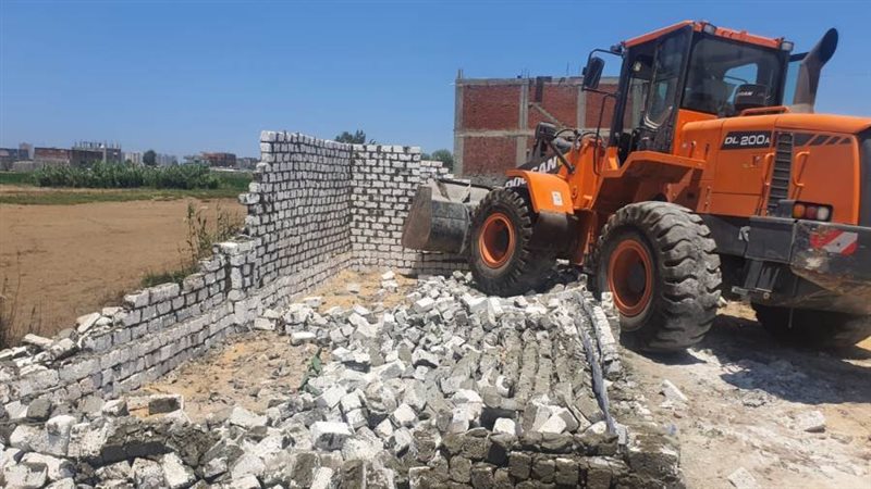 الاسكندريه تتصدى