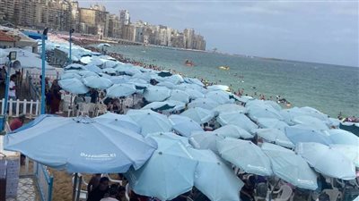 اليوم.. شواطئ الإسكندرية ترفع الرايات الخضراء