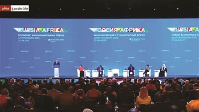 برلماني: القمة الإفريقية الروسية ستسهم في بناء نظام عالمي أكثر عدلًا ومتعدد الأقطاب