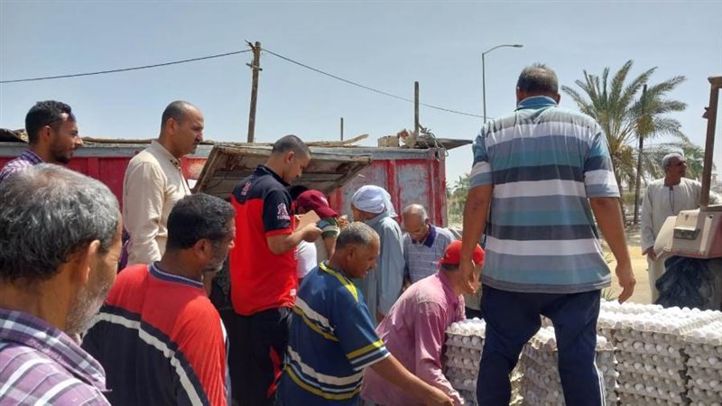 مشروعات البيض ببنى