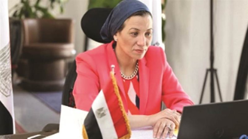 الدكتورة ياسمين فؤاد