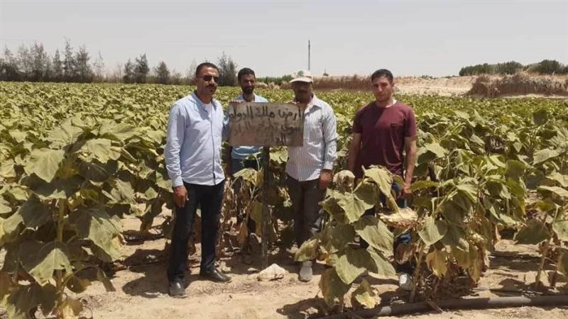 استرداد أملاك الدولة