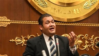 نائب التنسيقية يوصي باستحداث مؤسسة متخصصة بالتسويق السياسي.. والانتقال للتصويت الإلكتروني مرحليًا