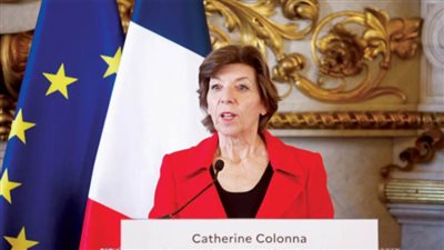 الخارجية الفرنسية: طائرة ستتوجه إلى النيجر خلال ساعات لإجلاء رعايانا