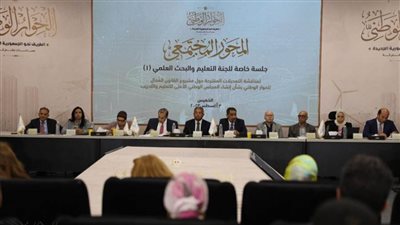 سلماوى: يجب أن يكون دور المجلس هو وضع الاستراتيجية وليس اعتمادها