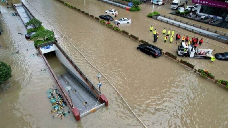 صوره ارشفيه