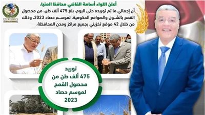 توريد 475 ألف طن من محصول القمح بشون وصوامع المنيا