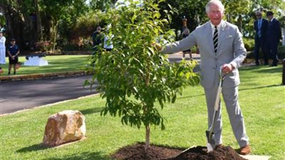 غرس آلاف الأشجار بمناسبة تتويج الملك تشارلز