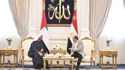الجندي: لقاء الرئيس السيسي برئيس دول الإمارات تأكيد على الإرادة السياسية لتحقيق التكامل الاقتصادي والتنموي