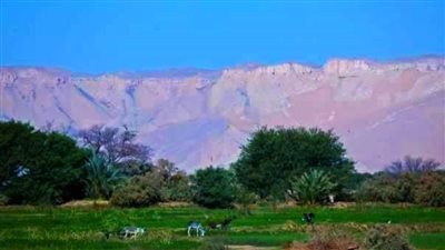 مشاركة ١٨٢ مشروعا بالوادي الجديد ضمن المبادرة الوطنية للمشروعات الخضراء الذكية