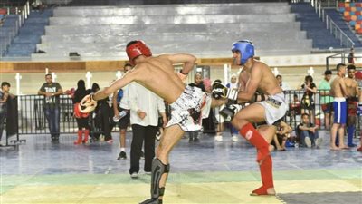 الكيك بوكسينج يعتمد خطة الموسم الجديد بواقع 65 نشاطًا رياضيًا محليًا ودوليًا 