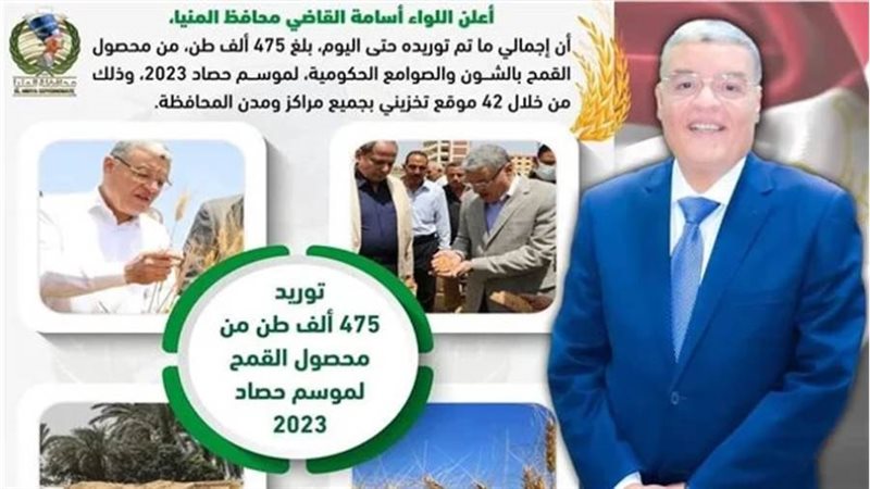 توريد القمح