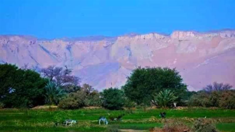 مشاركة ١٨٢ مشروع